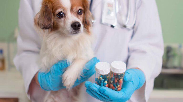 Personalized Medicine